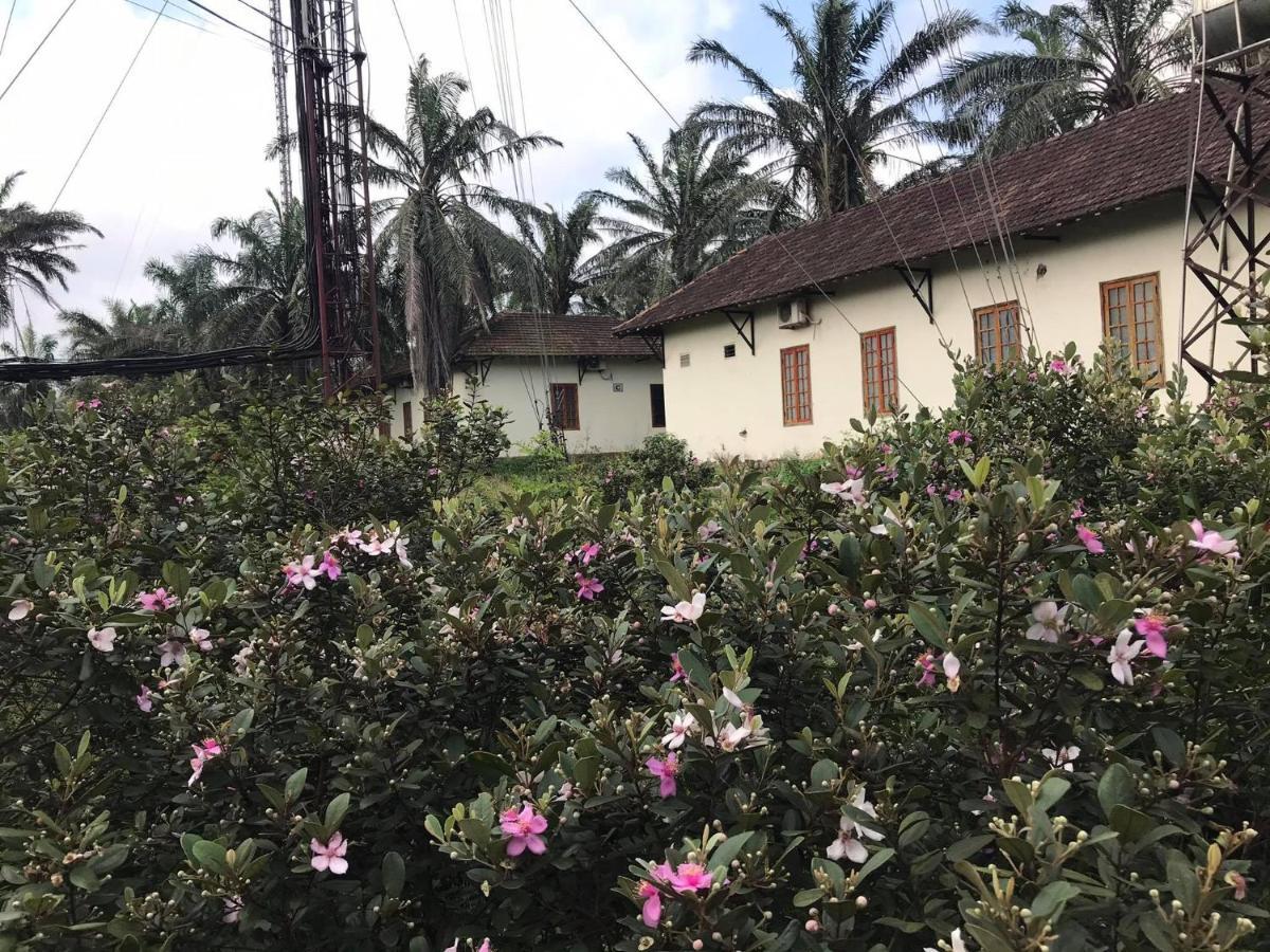 Palm Garden House Hotel Quang Tri Exterior foto