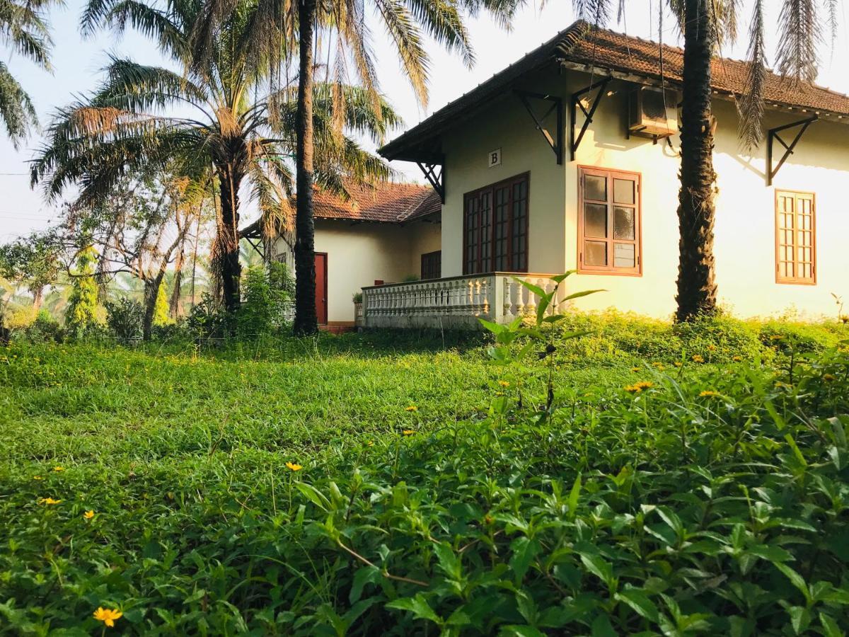 Palm Garden House Hotel Quang Tri Exterior foto